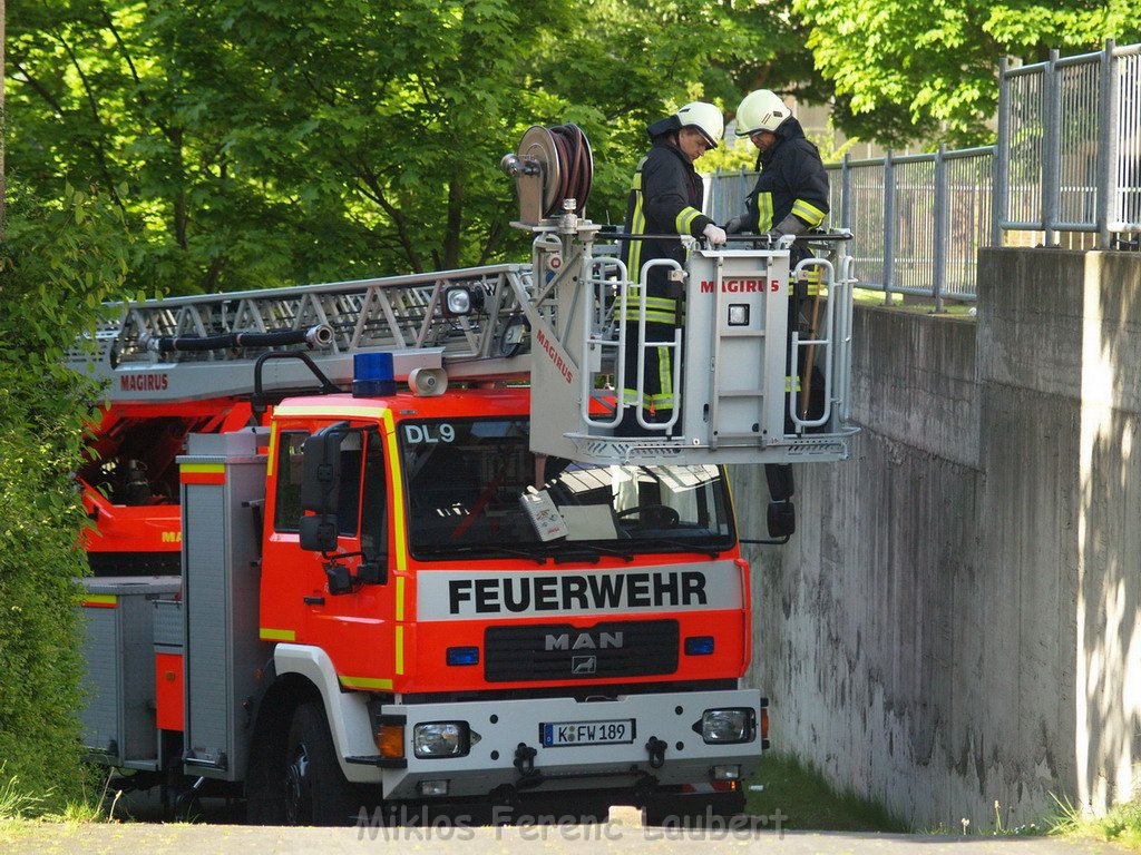 Feuer Koeln Muelheim Steinkaulerstr P31.JPG